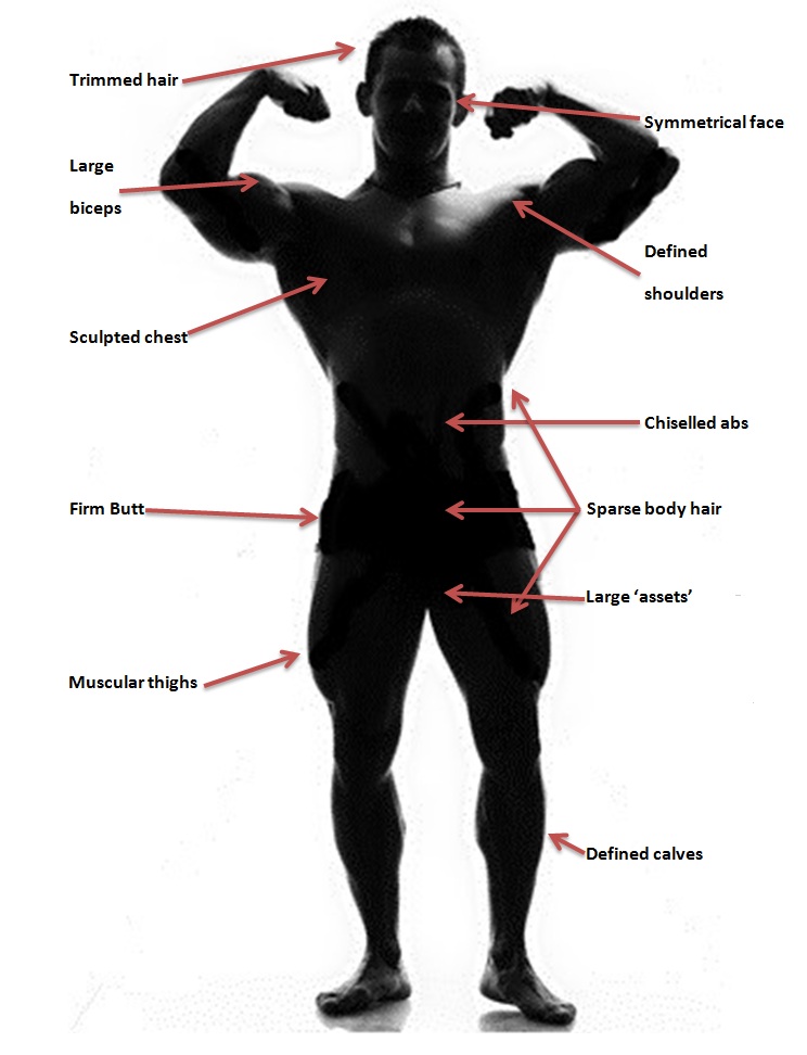 Dissection: The Ideal Male Body | Communicate This